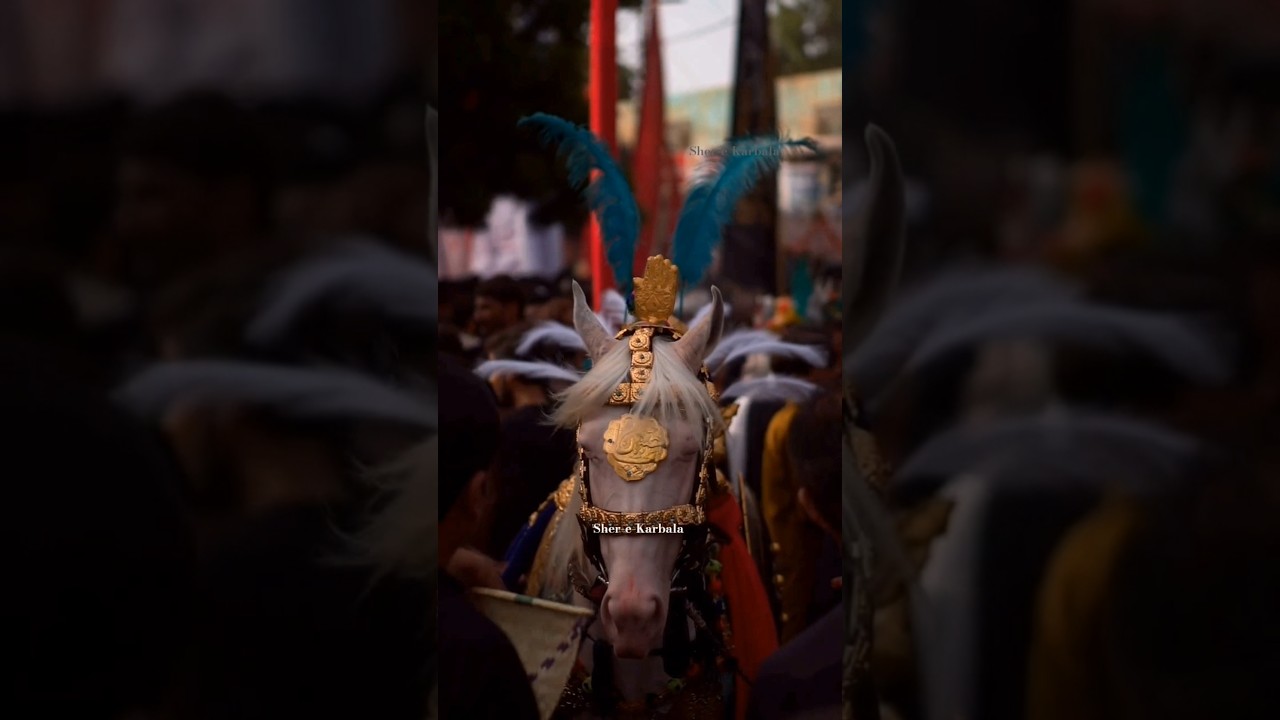Rone😭lagi Karbala #iran #tehran #iraq #turkey #iranian #istanbul #dubai #art #usa #t #india #karbala