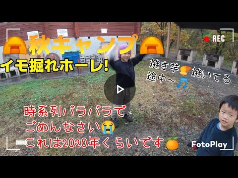イモ掘れホーレ!秋キャンプ！キャンプ  焼き芋 子供動画  男の子動画  子供歌  兄弟動画