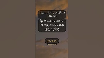 سورة مريم الآية ٢٠ الى ٢٣ بصوت الشيخ محمد صديق المنشاوي