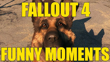 Fallout 4 Bugs compilation