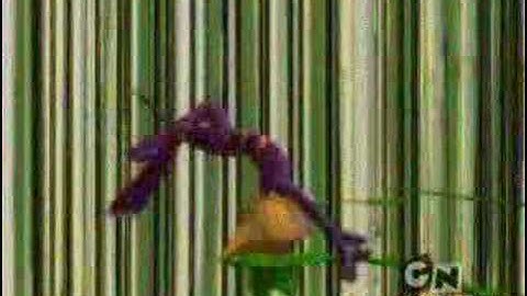 Odd and Aelita - listen to your heart