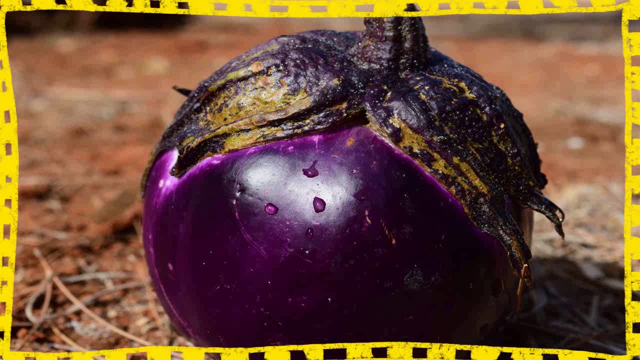 como preparar el agua de berenjena para adelgazar