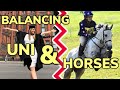 MY RIDING STORY PART 2 ~ Balancing horses and university