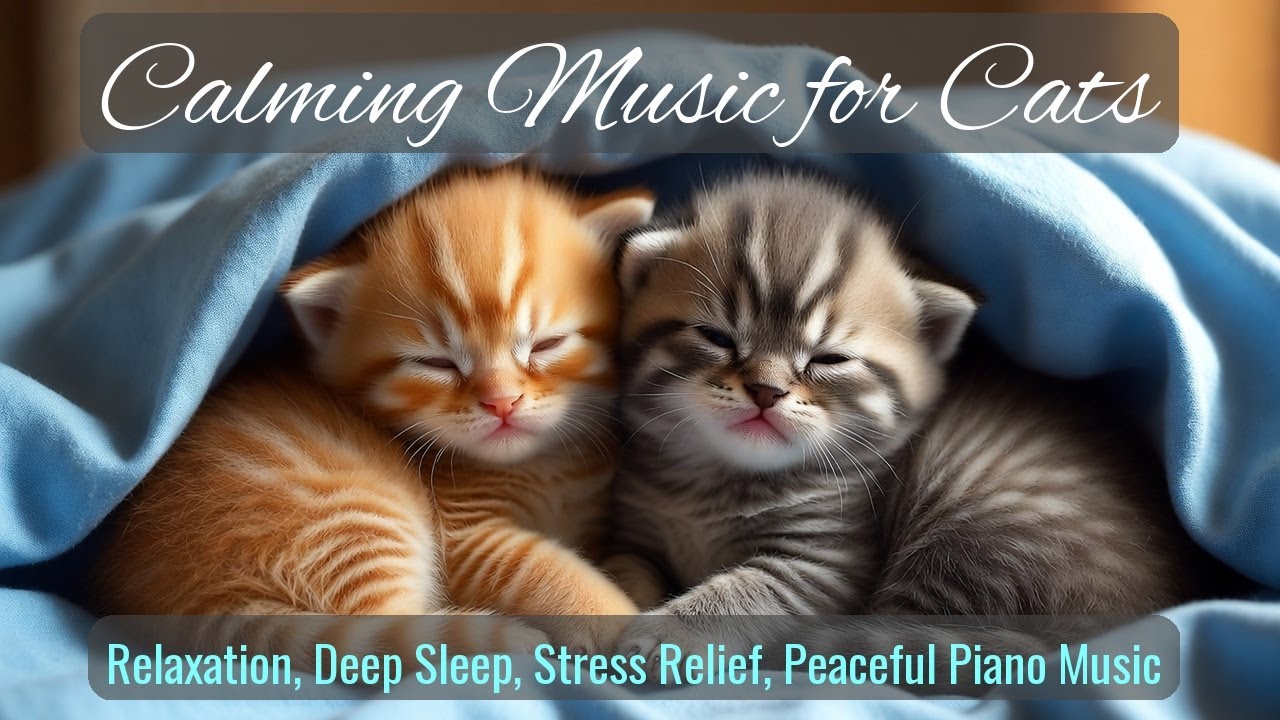 Calming Music for Cats - Relaxation, Deep Sleep, Stress Relief, Peaceful Piano Music | Season 58