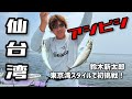 鈴木新太郎がアジビシ釣りを徹底解説！in仙台湾 2024シーガーチャンネル