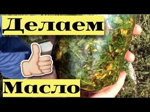 ДЕЛАЕМ зверобойное И таволговое МАСЛО в ПОХОДНЫХ УСЛОВИЯХ #23