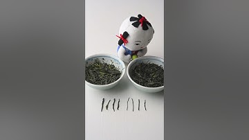 Is One Sencha Better than the Other?