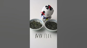 Is One Sencha Better than the Other?