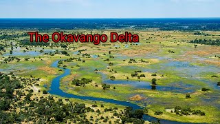 The Okavango Delta: Nature's Miracle