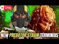 HELLDIVERS 2 | FIGHTING THE NEW PREDATOR STRAIN TERMINIDS | !discord