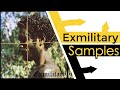 Every Sample From Death Grips Exmilitary