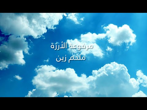 مرفوعة الأرزة ملحم زين