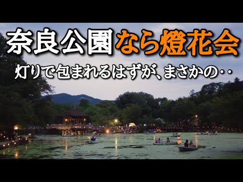 奈良県 奈良公園の燈花会散策