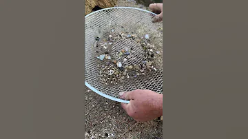 Treasure Hunter Was Cleaning The Beach And Found A GOLDEN GEM What A Discovery Treasuresearch 
