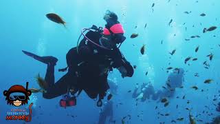Hurghada. RED.Sea.Scuba.monkey