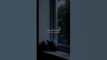 "ولقد نعلم أنك يضيق صدرك بما يقولون" سورة الحجر، الآية 97.