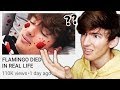 Someone made a video saying I died... - YouTube