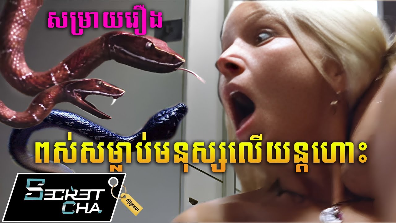 សត្វពស់នៅលើយន្តហោះសម្លាប់មនុស្ស - សម្រាយរឿង (Secret Cha)