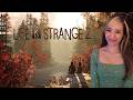 Life is Strange 2 - Roads (Episode 1) FIRST Playthrough