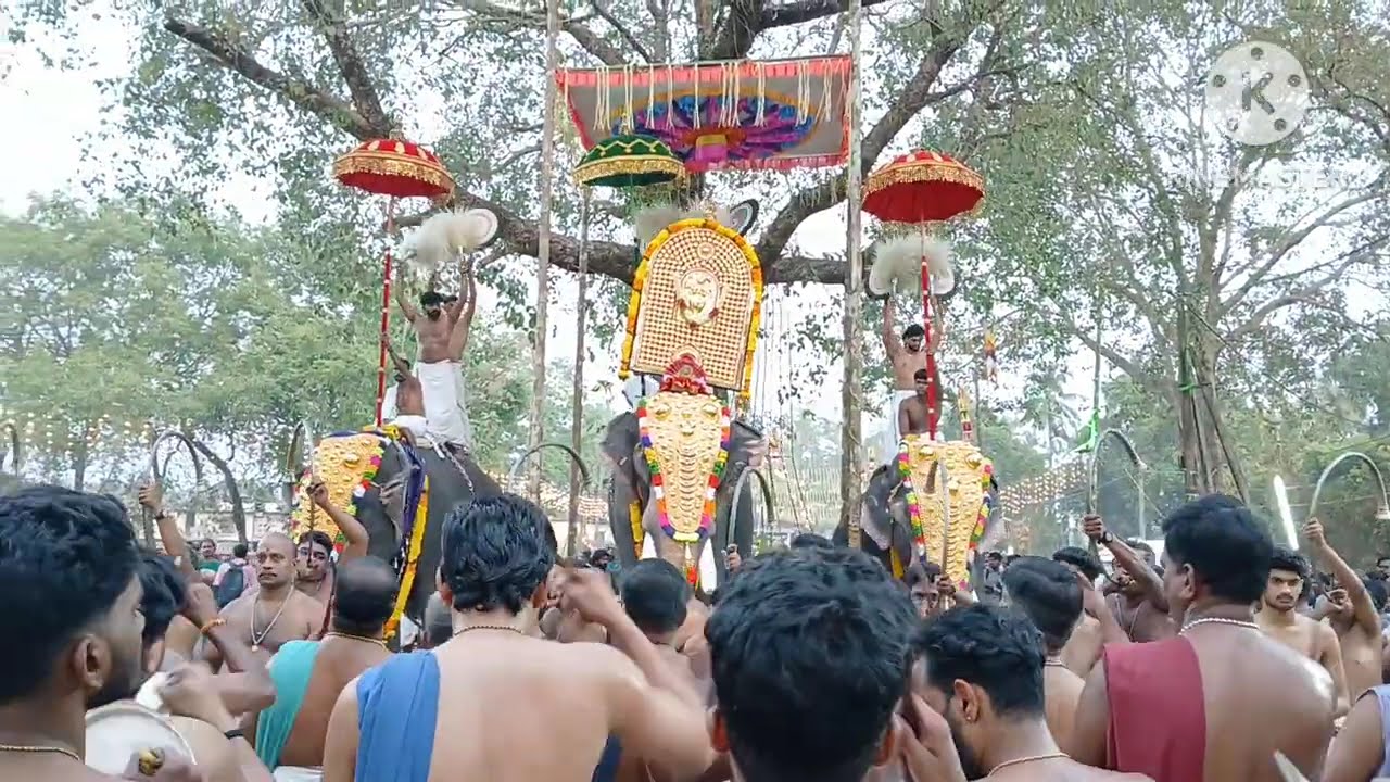 പത്താമുദയം ഉത്സവം @ Vatanappilly 