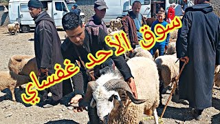 جولة في أكبر سوق في منطقة بني زروال الاحد غفساي مع الاثمنة حاولي 🐏 وخضار 🍅🍆🧅