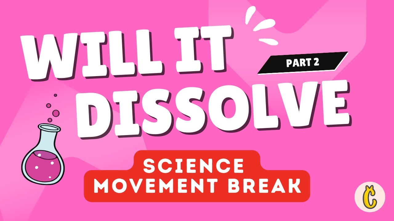 Will It Dissolve? Part 2 | Solids & Liquids Science Movement Game for Kids