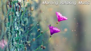 Morning Music - A Happy And Happy New Start - Gentle Piano Music To Relieve Stress