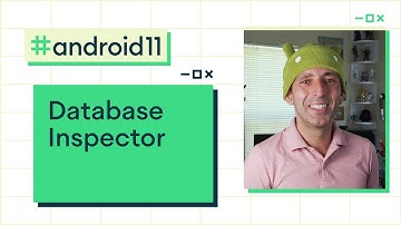 Database Inspector