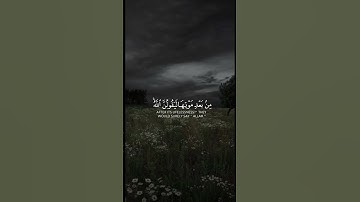 سورة العنكبوت || آية رقم ٦٣ || للقارئ عبدالرحمن مسعد