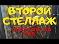 НОВАЯ СТОЙКА. КАК РАСТЕТ МАЛЕК ГОЛУБЫХ НЕОНОВ.