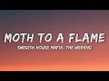 Swedish House Mafia Ft The Weeknd Moth To A Flame Lyrics 