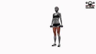 Dumbbell Reverse Lunge Pulses | Proper Form & Muscles Worked