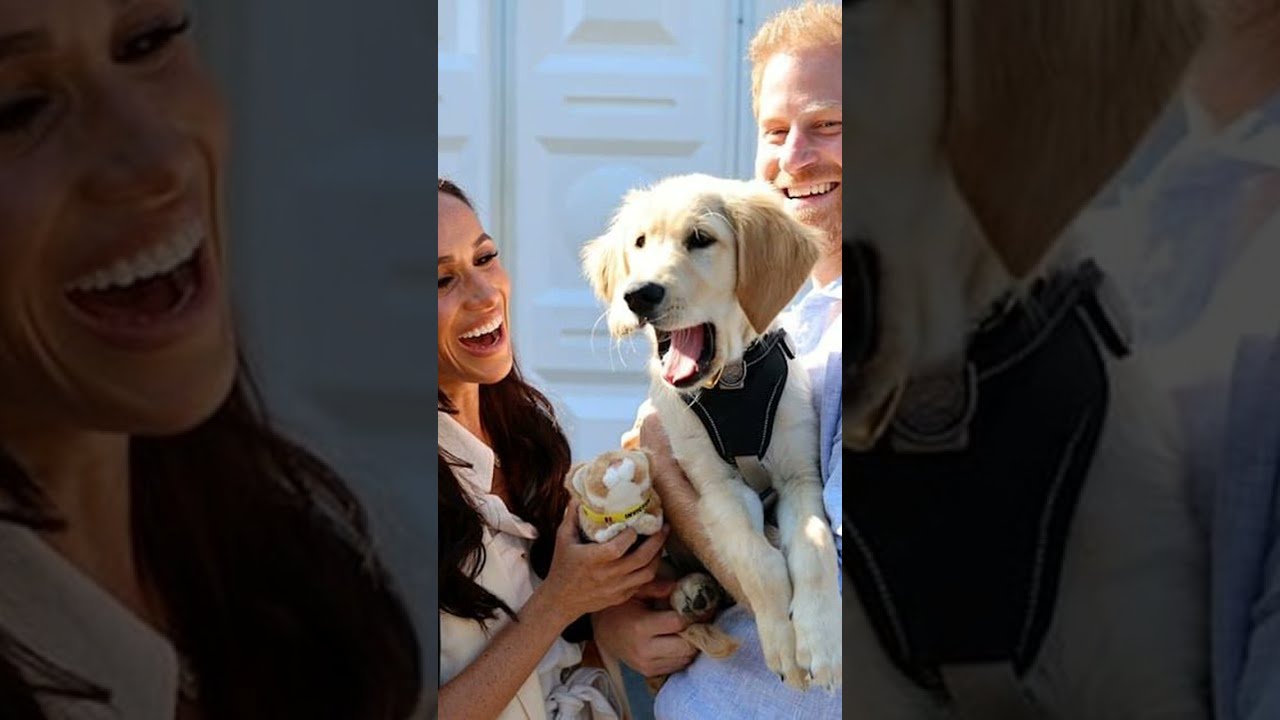 Срочно! Правда вышла наружу