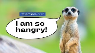 Writing Prompt: Translate the Language of an Animal screenshot 3