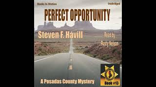 Play video: Perfect Opportunity - Steven F Havill