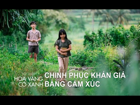 Tôi Thấy Hoa Vàng Trên Cỏ Xanh chinh phục khán giả bằng cảm xúc