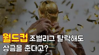 월드컵 우승을 하면 상금은 얼마나 받을까?