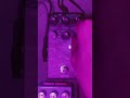 Awesome stereo granular algorithm w/ the @KlowraPedals Everlast Delay. So good!! #delaypedal