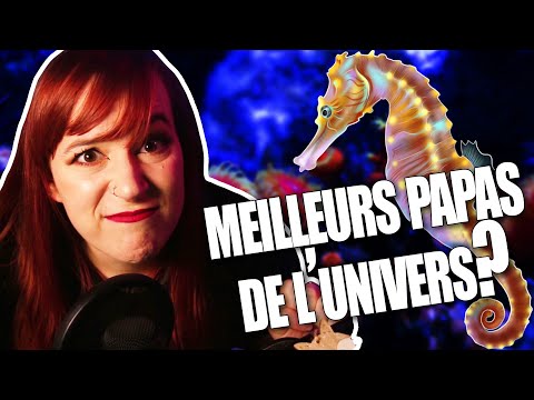 Un secret HONTEUX!