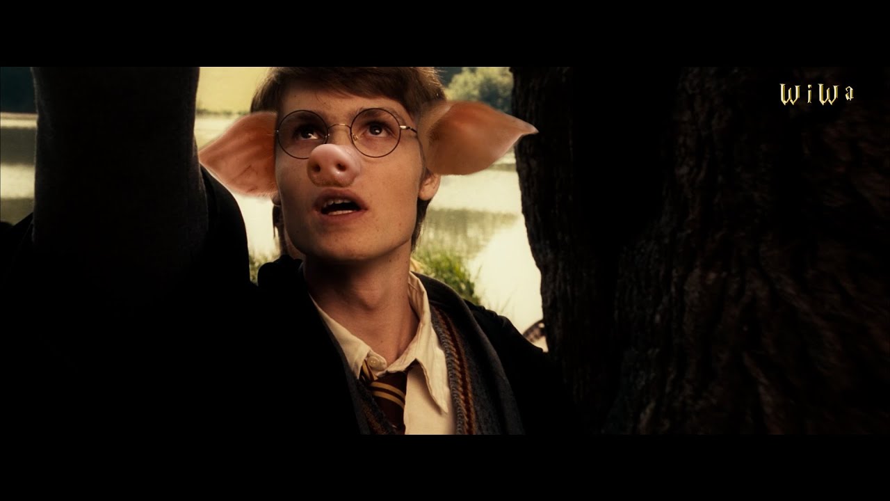 Fresh Dumbledore - Feines Schwein [WiWa Music Video] (HD)