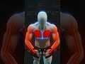 One Cable Fly Mistake Almost Everyone Makes #fitness #usafitness #exercise #usa #shorts #explore