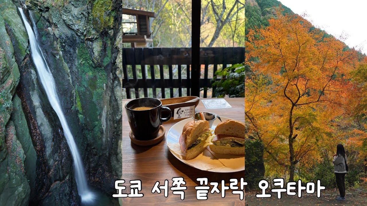 오쿠타마 한발 늦은 가을 단풍놀이