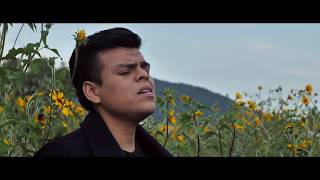 The Sign of The Times Cover Pablo Adame feat. Mario Estrada screenshot 5
