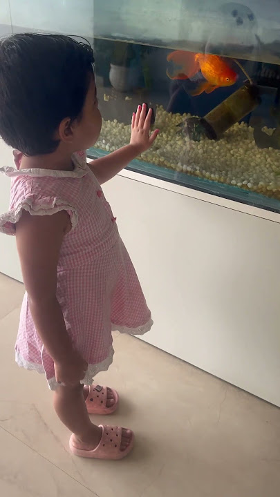 Fish #funny