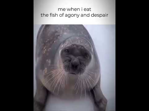 me when i eat the fish  of agony and despair #memes