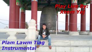 Tsua muas-Plam lawm tiag_Instrumental (เสบสด) screenshot 5