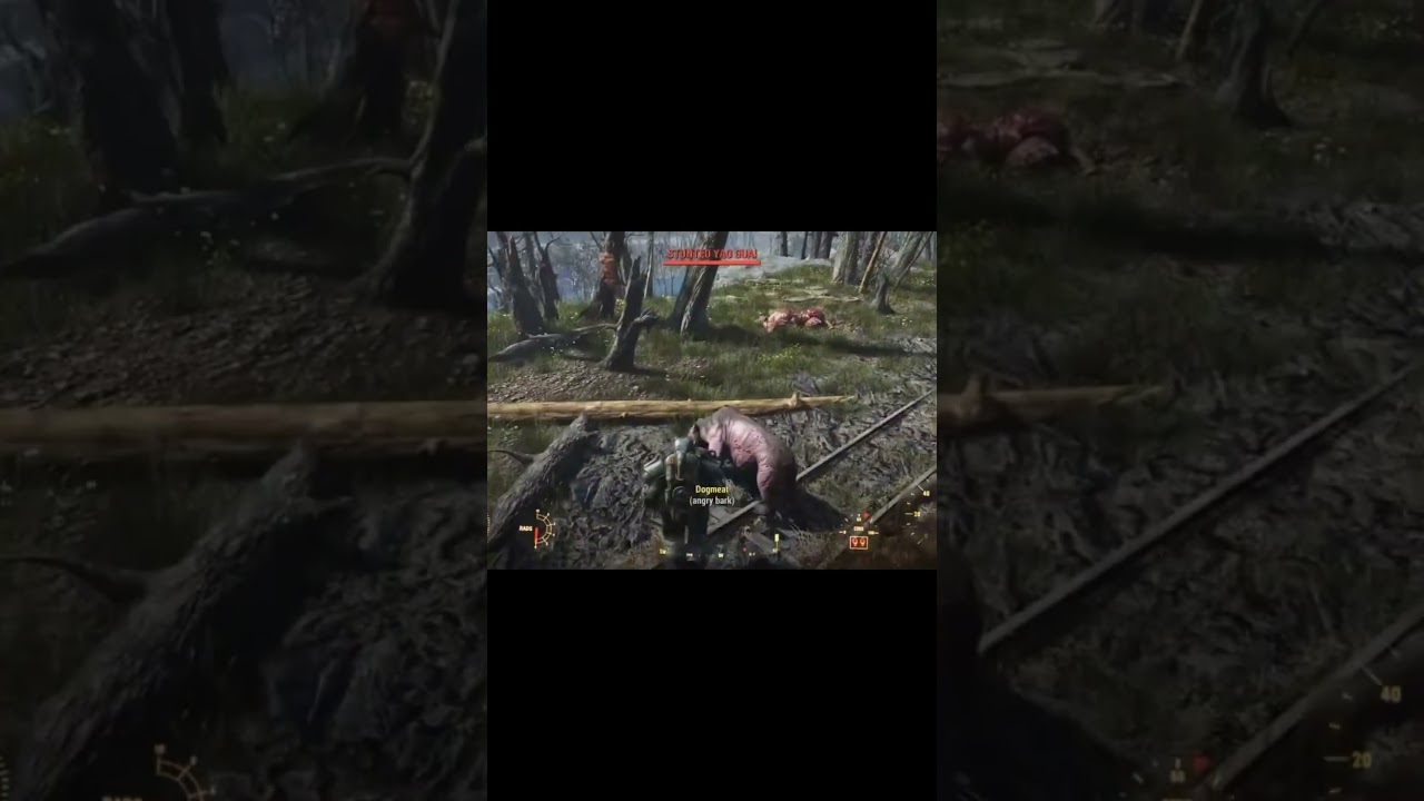 Knight Titus vs Nuclear Bear in Fallout