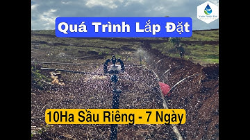 Quá trình lắp đặt đến nghiệm thu cho 10 Ha sầu riêng đồi dốc với béc BS7000 R8