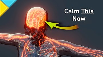 CALM YOUR Limbic System Now ❯❯❯ For PTSD, Trauma, Stress, Anxiety & more • 888Hz