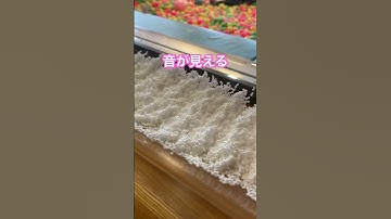 音が見える装置 #実験 #科学館